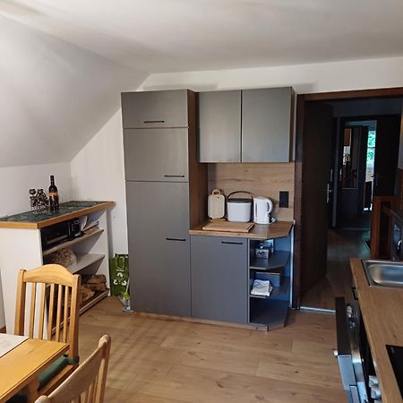 Appartement Steiner Schladming Ngoại thất bức ảnh