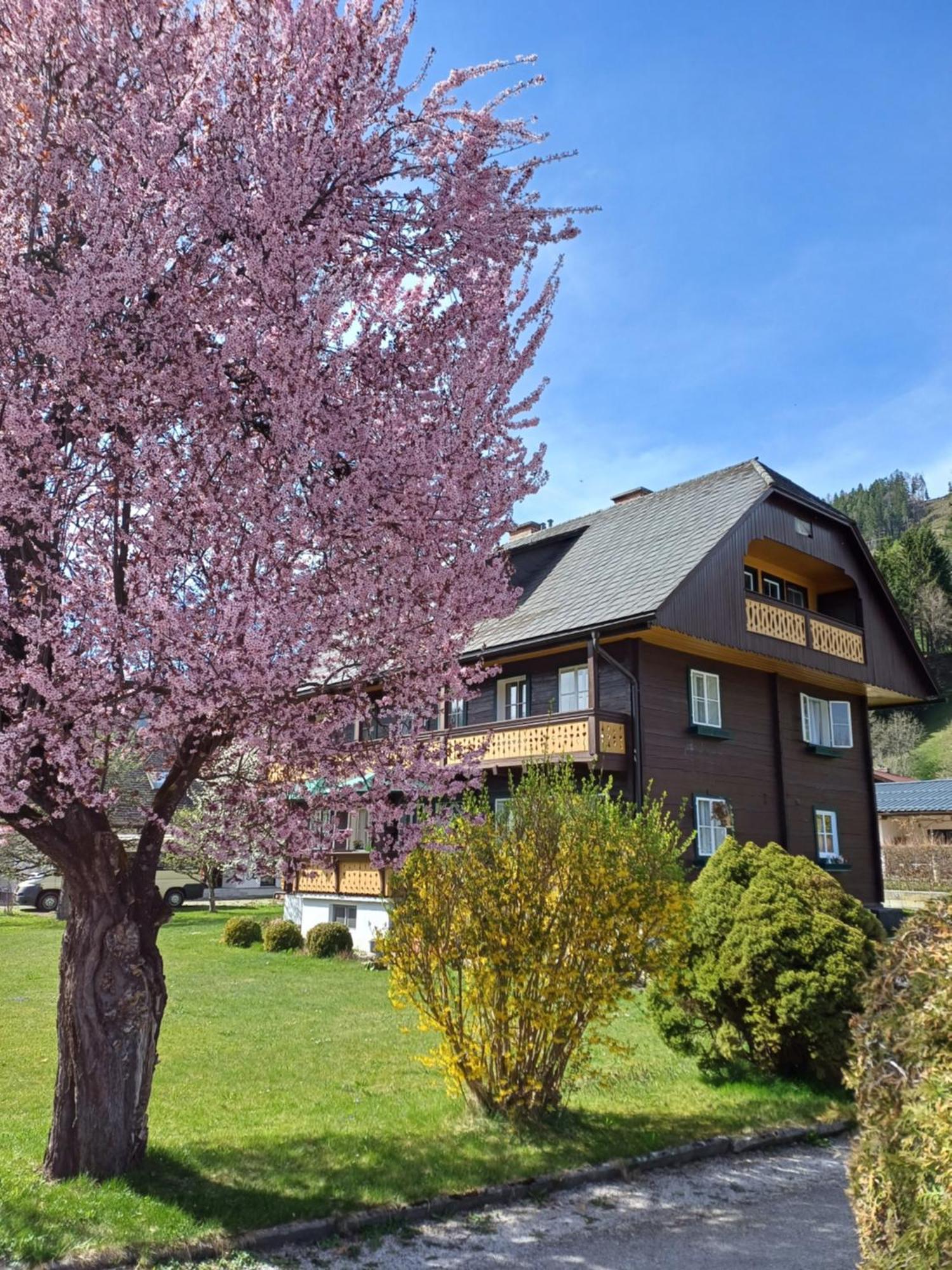 Appartement Steiner Schladming Ngoại thất bức ảnh
