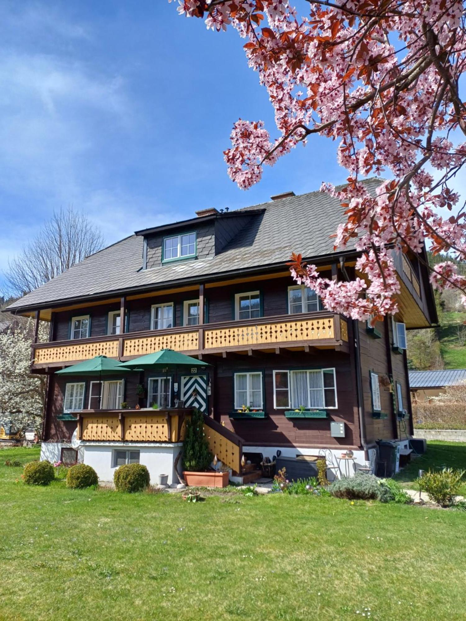 Appartement Steiner Schladming Ngoại thất bức ảnh