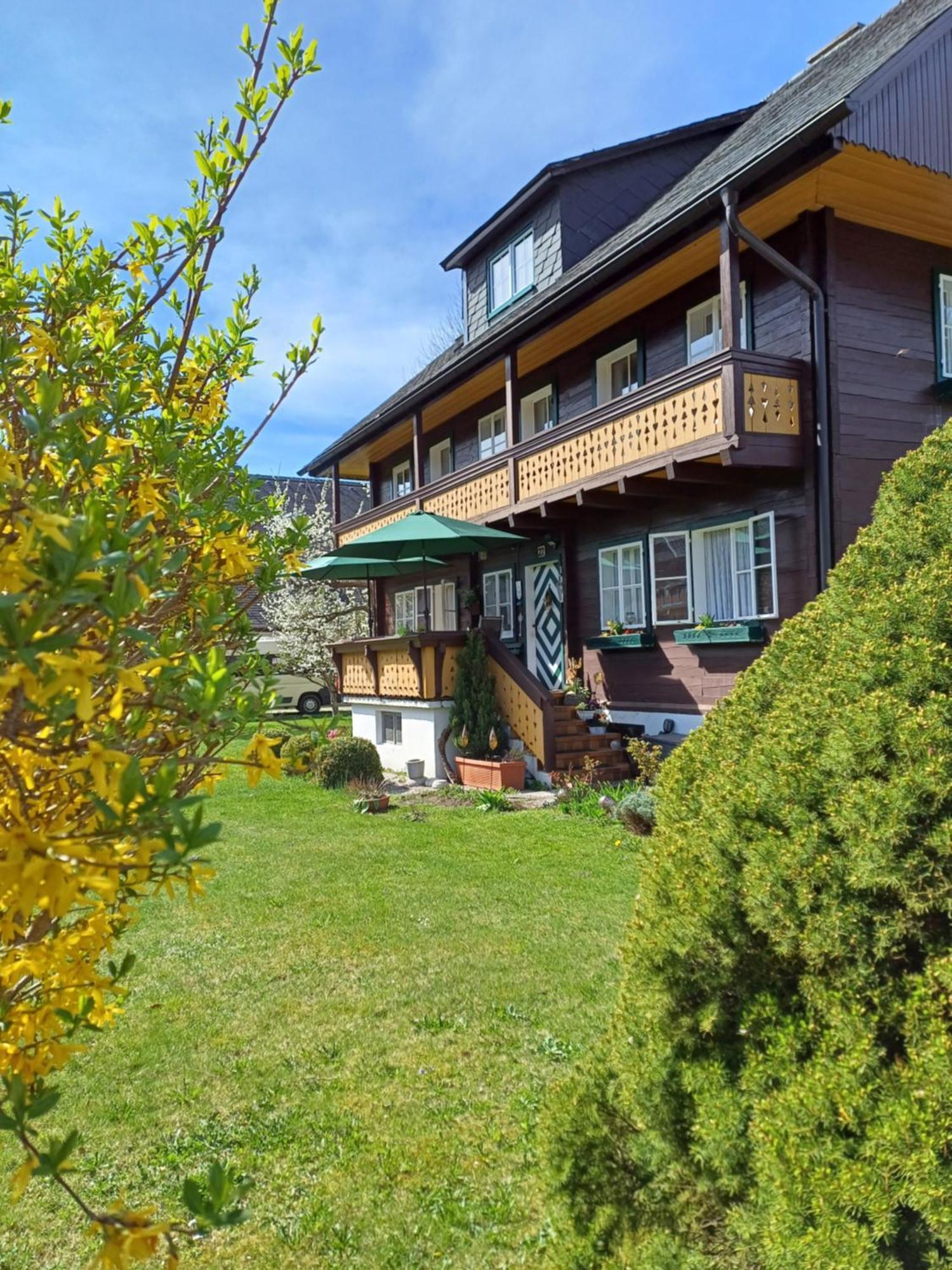 Appartement Steiner Schladming Ngoại thất bức ảnh