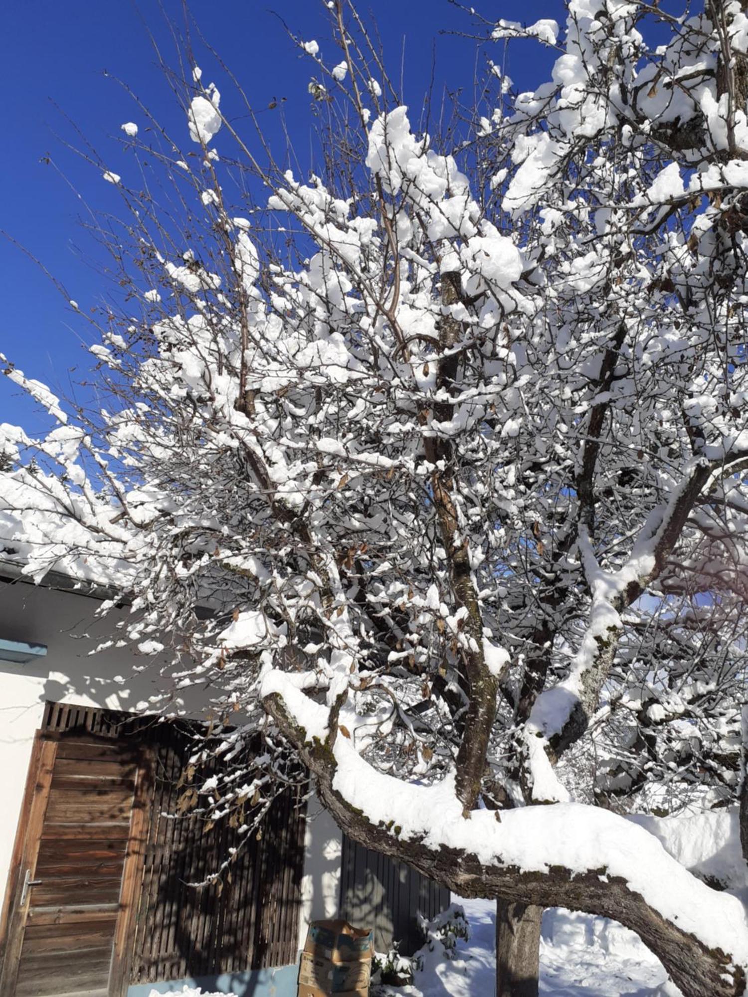 Appartement Steiner Schladming Ngoại thất bức ảnh